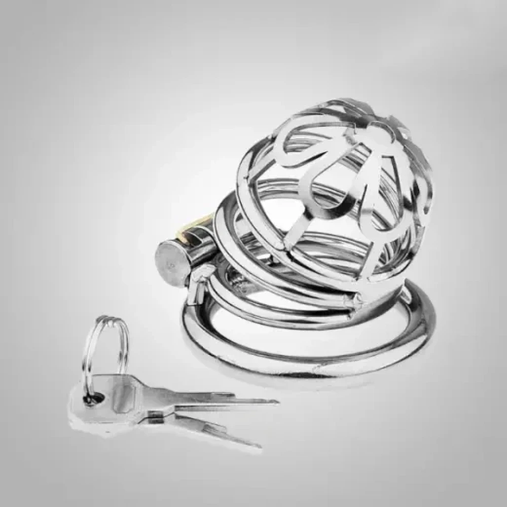 Chastity Cage Sexual Stimulation Couple Sex Lock Private Bondage Stainless Steel